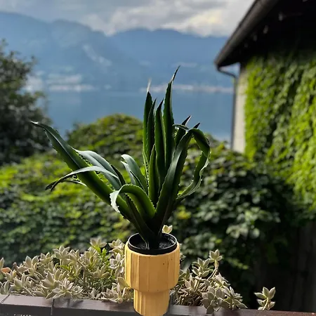 Bellavista By Gottschalk *