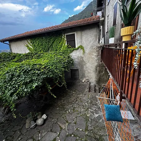 Bellavista By Gottschalk Dorio